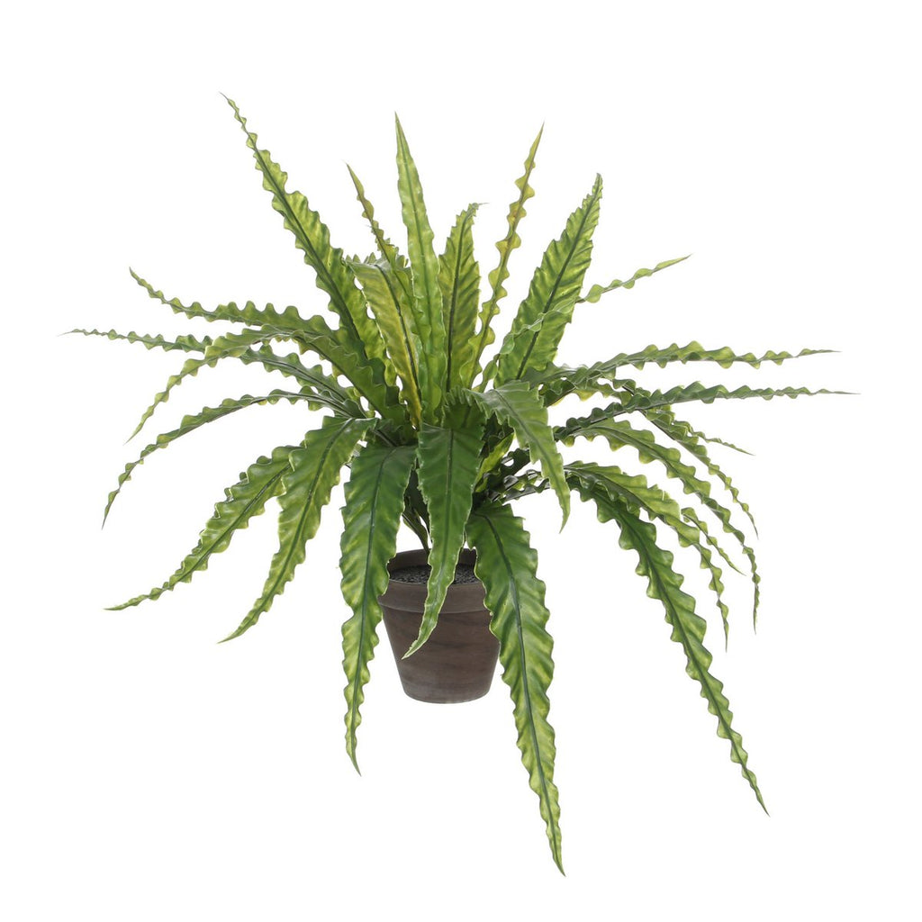 Künstliche Pflanze Asplenium Green Nestfarn 75 cm Durchmesser