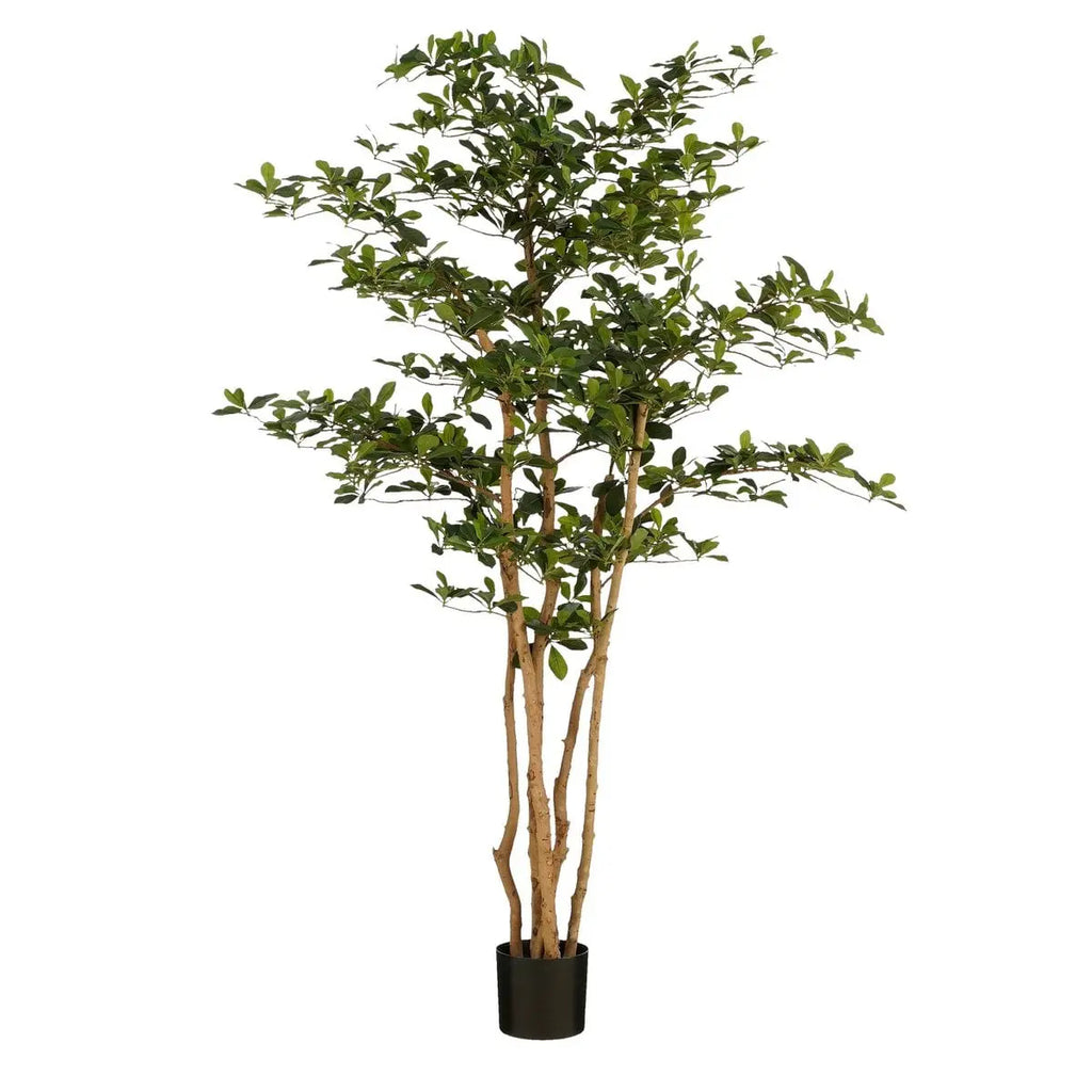 XL Kunst-Olivenbaum Mica Decorations – 183 cm, Ø130 cm, pflegefrei, im Topf Mica Decorations