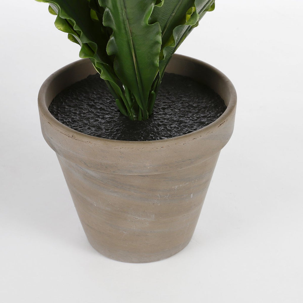 Künstliche Pflanze Asplenium Green Nestfarn 75 cm Durchmesser