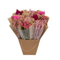 Droogbloemen - Getrocknete Monomischung - Rosa - ↕50cm MEERgroothandel Planten