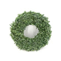 Edler Kranich - Ø60cm MEERgroothandel Planten