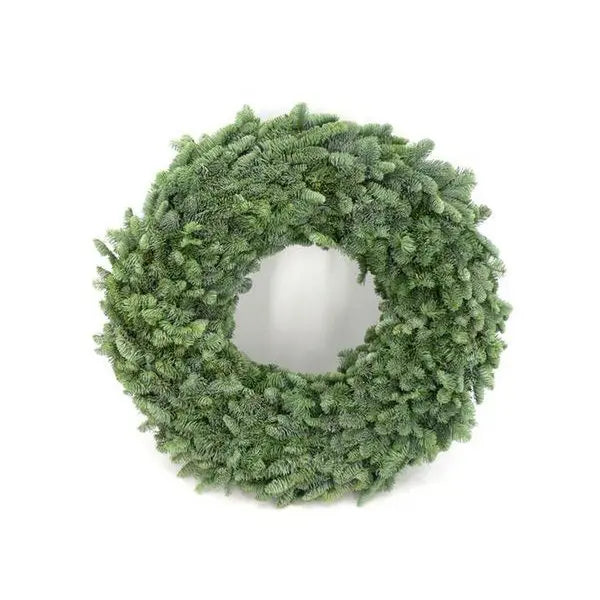 Edler Kranich - Ø60cm MEERgroothandel Planten