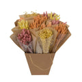 Trockenblumen Monomischung ca. 50 cm freigestellt auf weißem Hintergrund