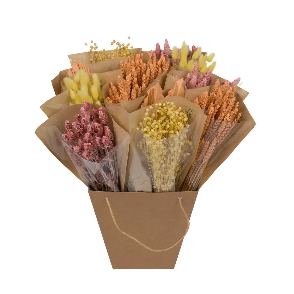 Trockenblumen Monomischung ca. 50 cm freigestellt auf weißem Hintergrund