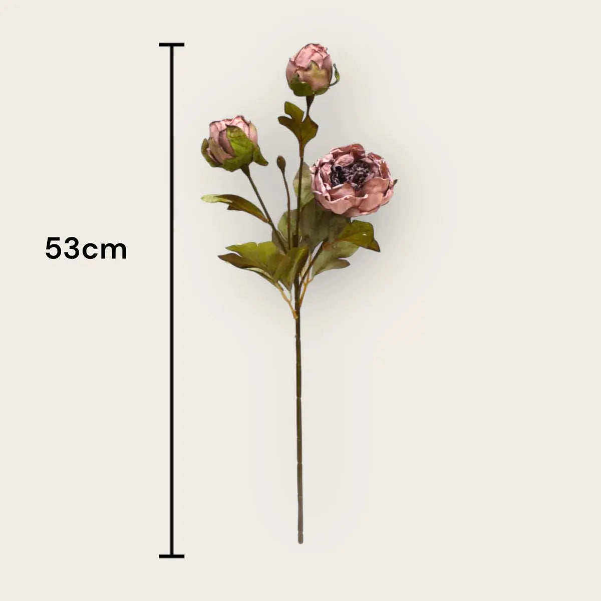 Herbstserie 3 Köpfe Pfingstrose Braun | Kunstblume aus Seide | Länge 53cm 1Stk QMF Trading