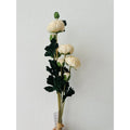 Scabiosa | künstliche Blume | Länge 55cm weiß QMF Trading