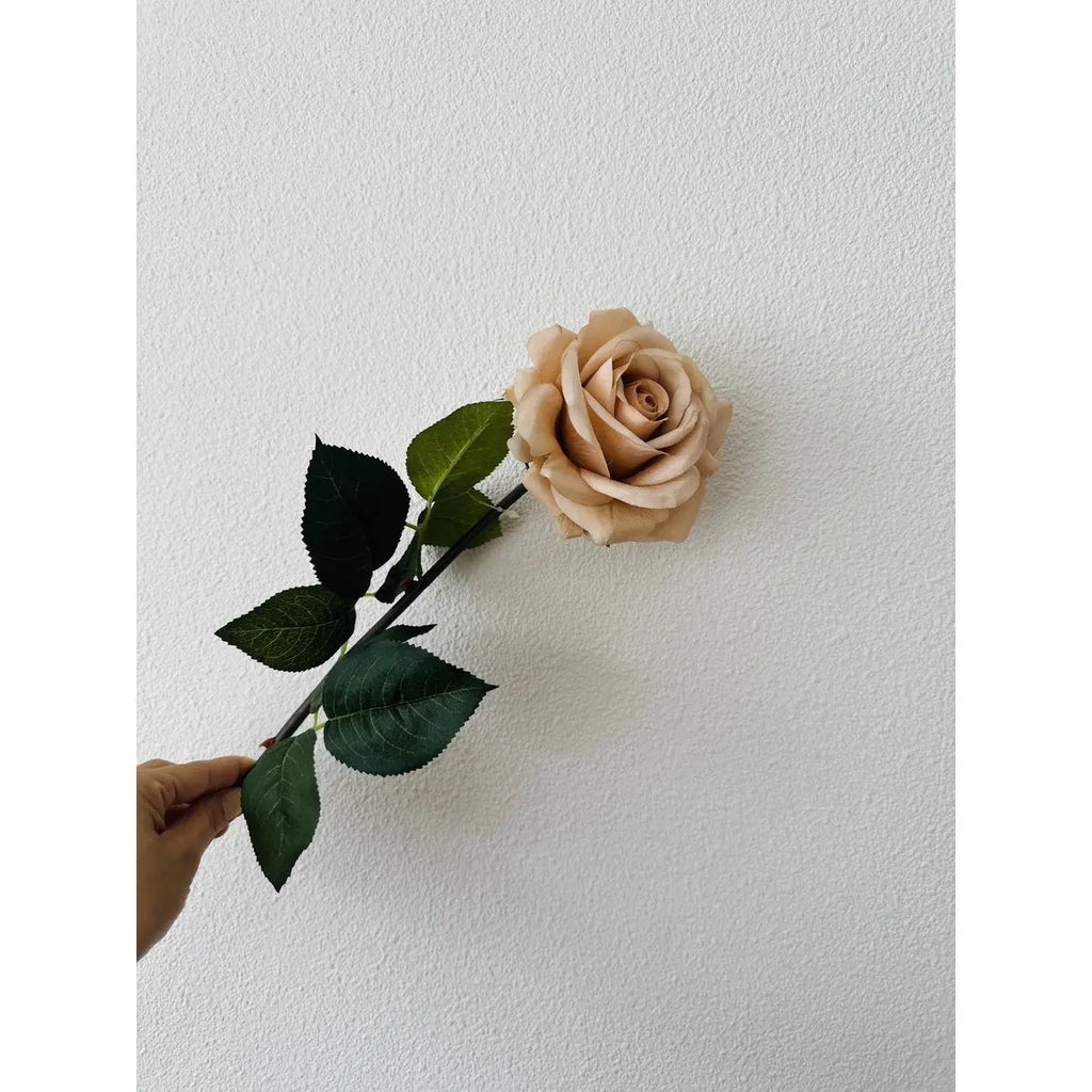 2 x QMF Hand Touch Rose 72cm Champagner 2ST QMF Trading