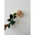 2 x QMF Hand Touch Rose 72cm Champagner 2ST QMF Trading