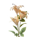 Künstliche Blume 72 cm Beige Plastik Clayre & Eef.