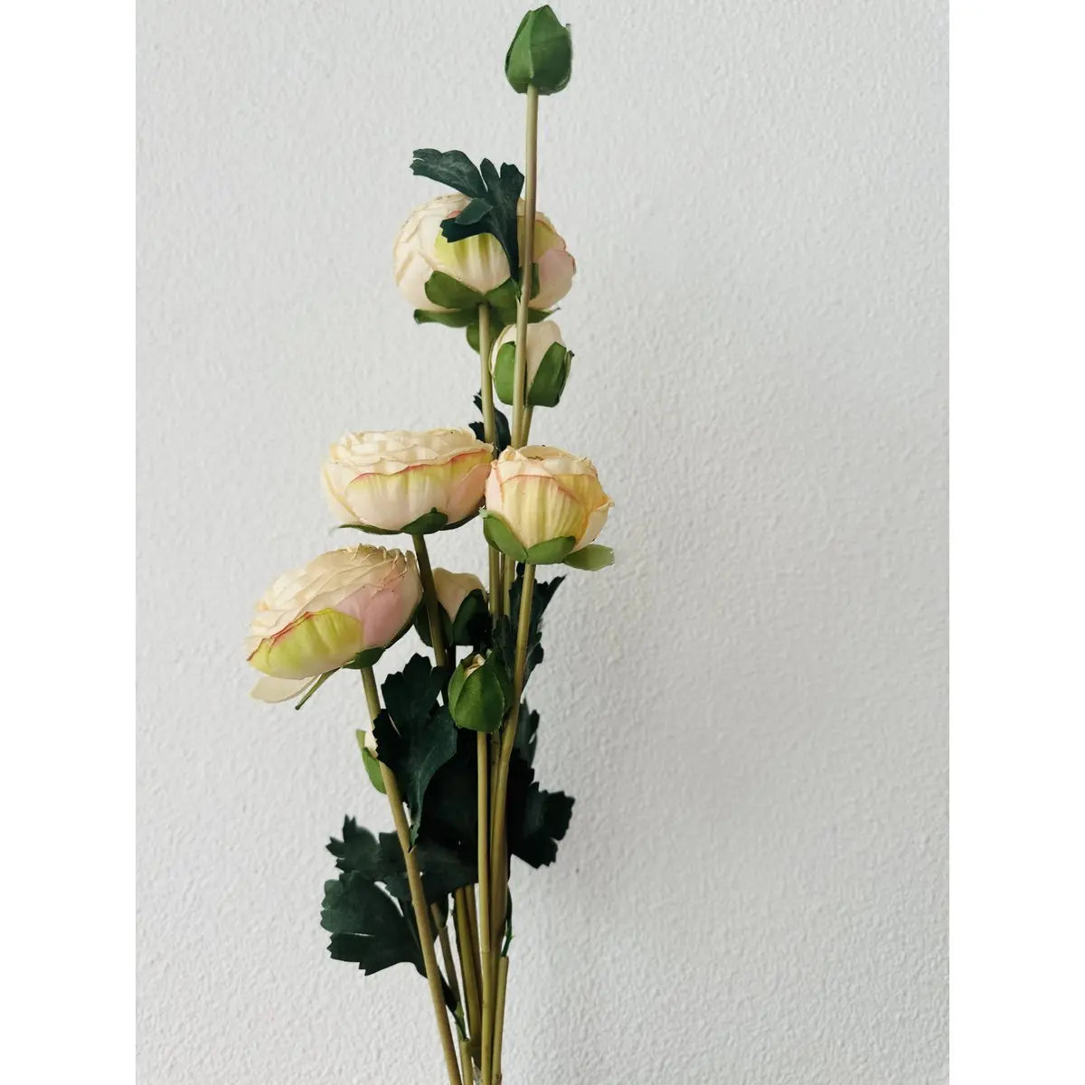 Scabiosa | künstliche Blume | Länge 55cm weiß QMF Trading