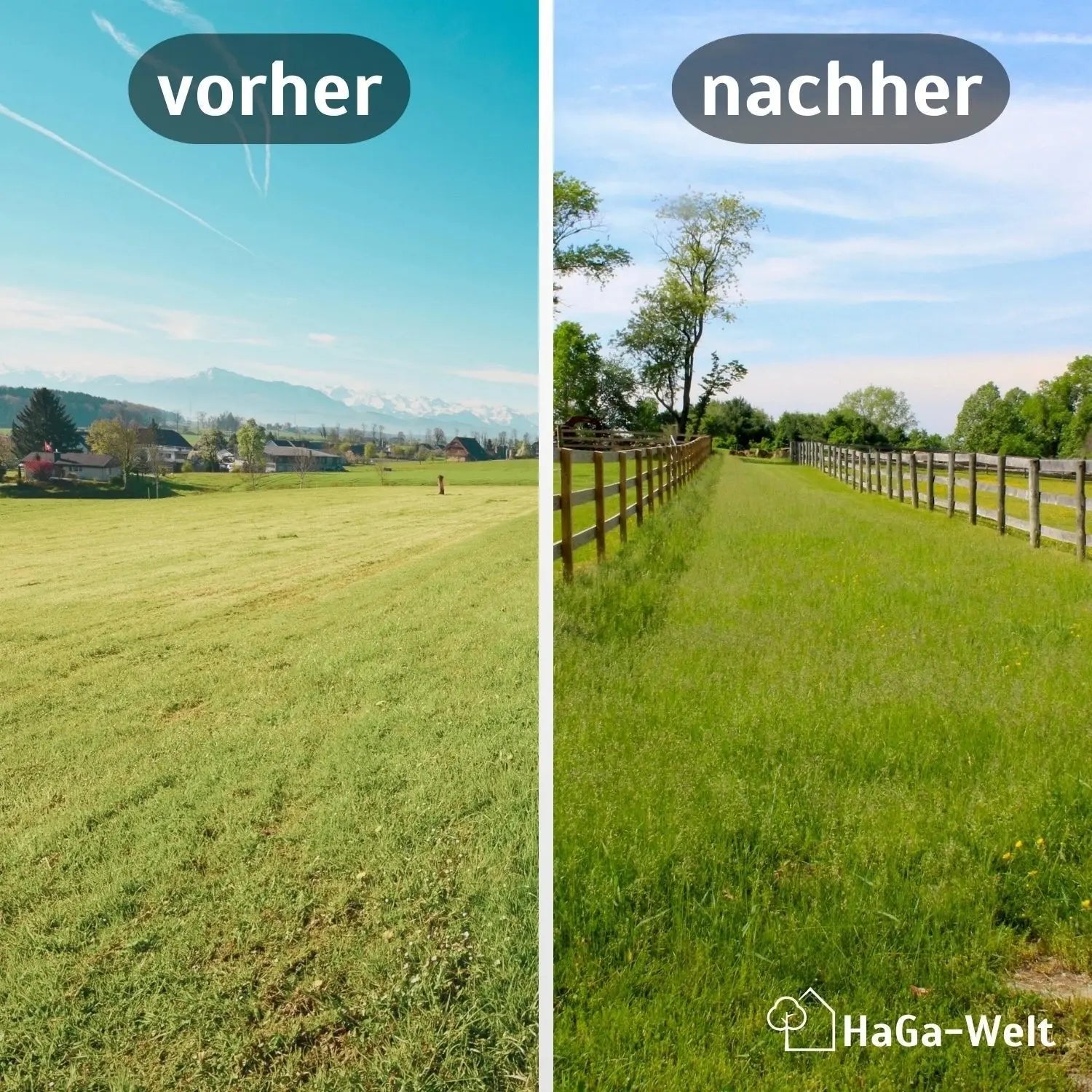 Holzpfosten, KDI-Grün – Pfosten für den Zaunbau