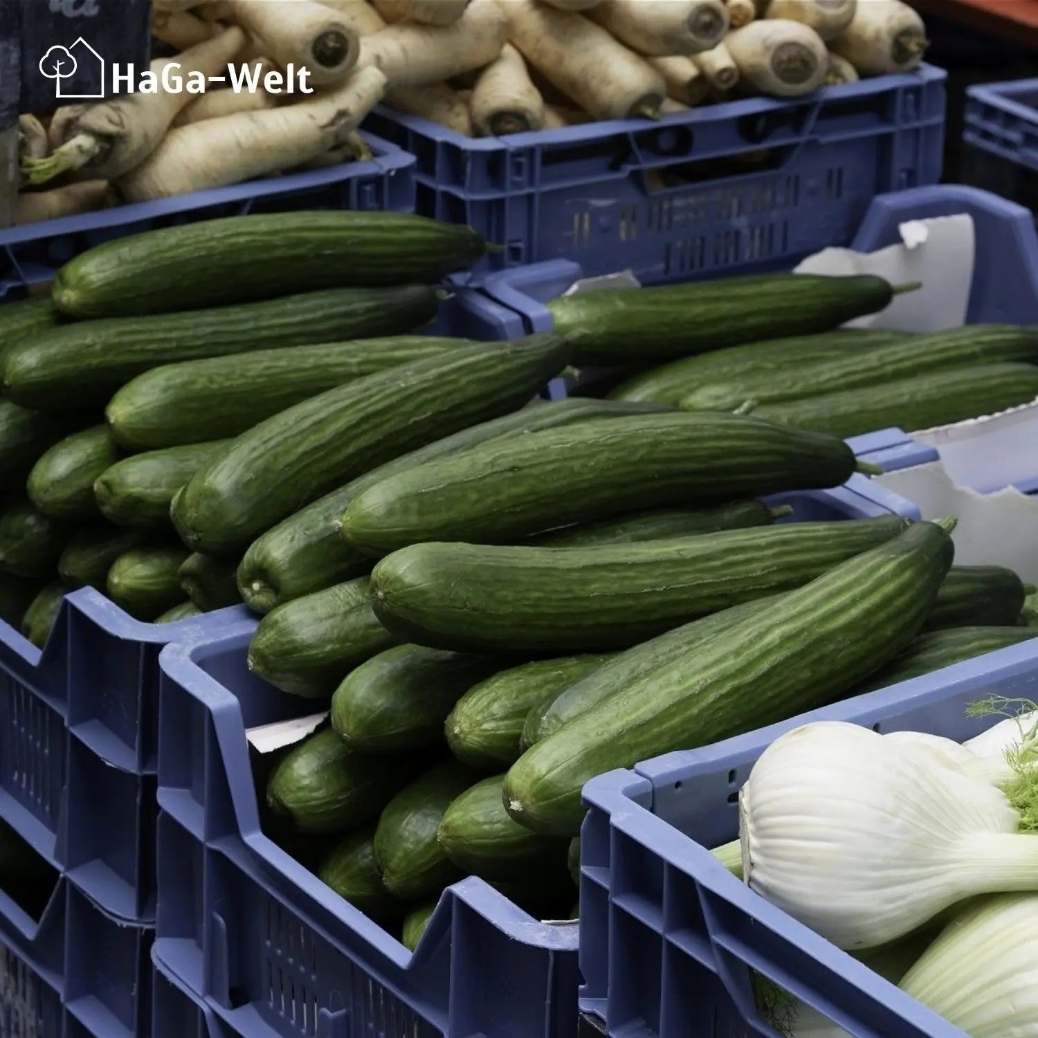Obstkiste – Lagerung für Lebensmittel und Gegenstände