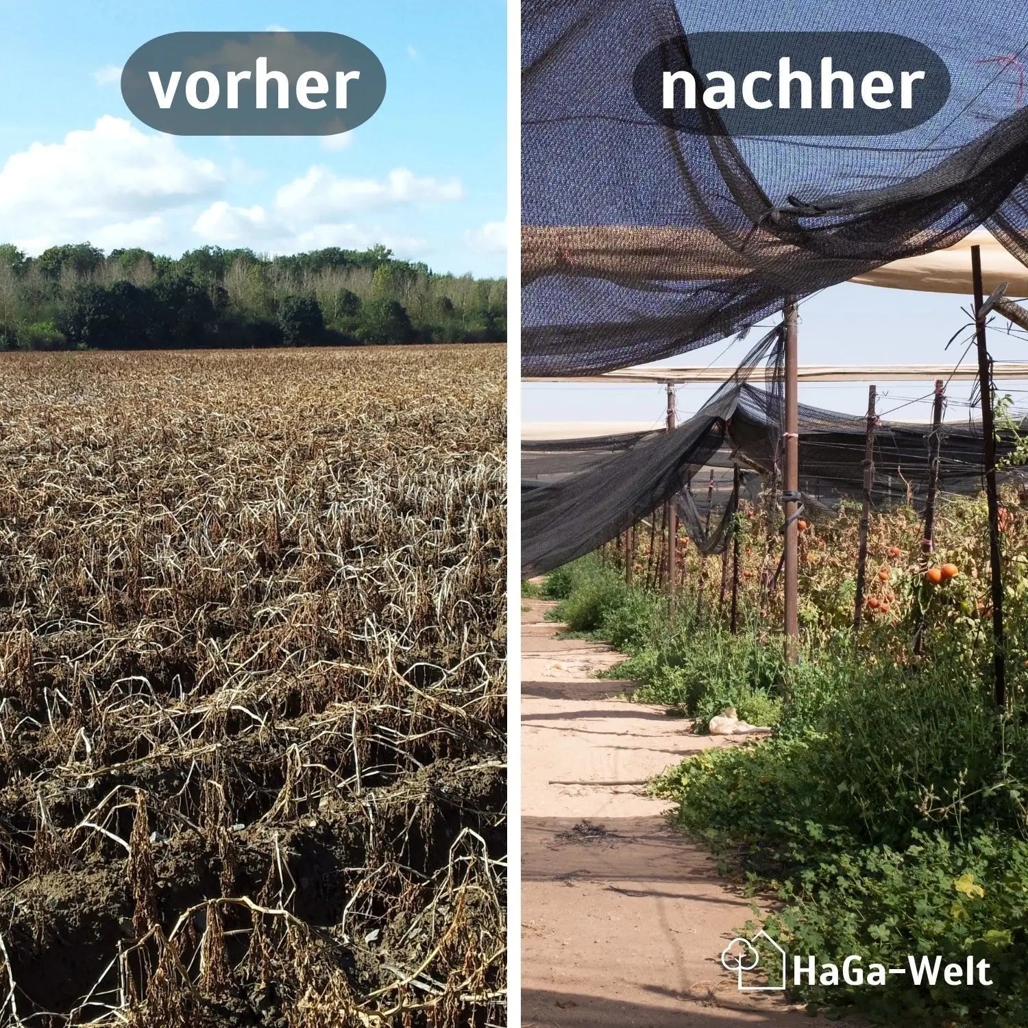 Schattiernetz – Sonnenschutz für Gewächshäuser und Pflanzen