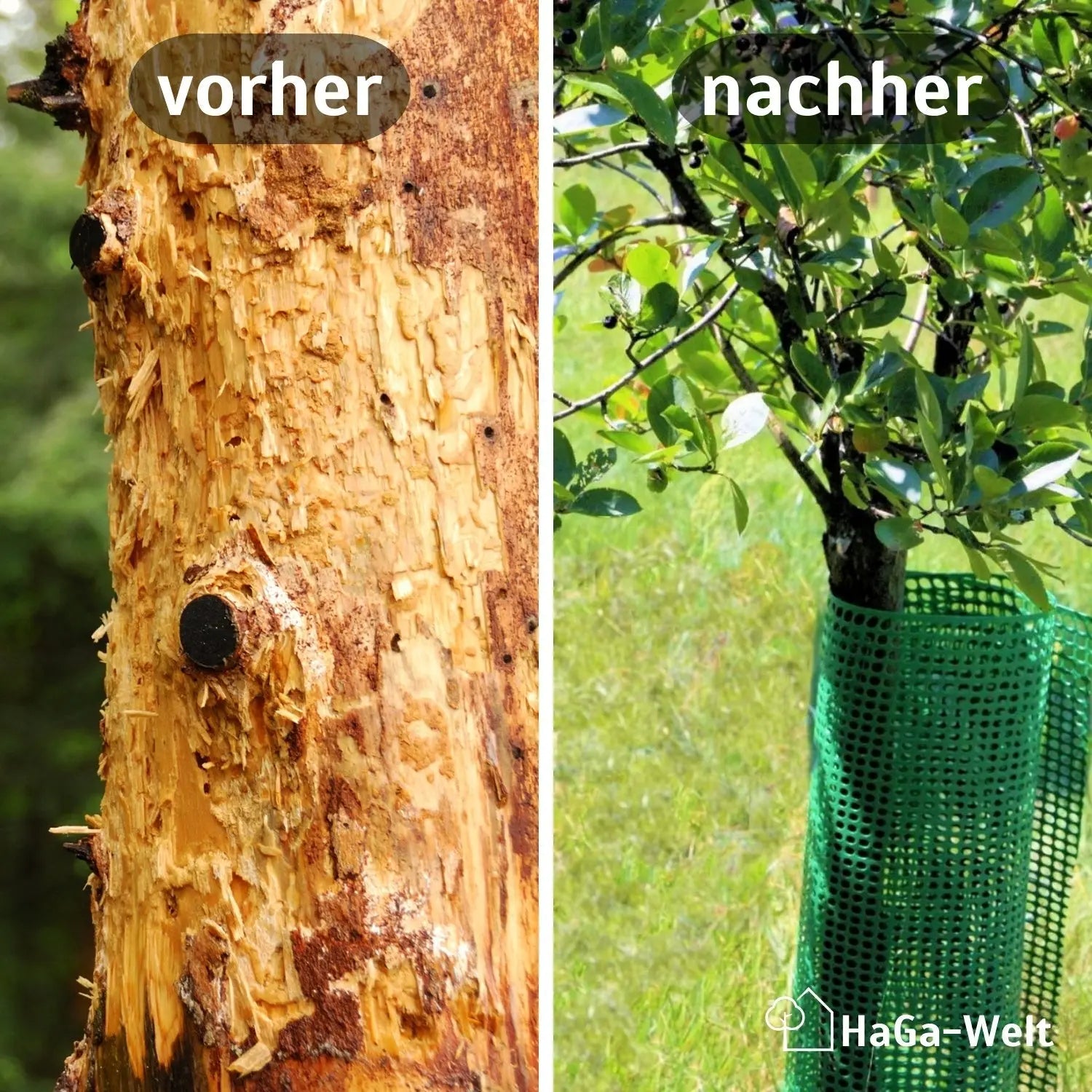 Baumschutzgitter – extra starker Verbissschutz zum Baumschutz
