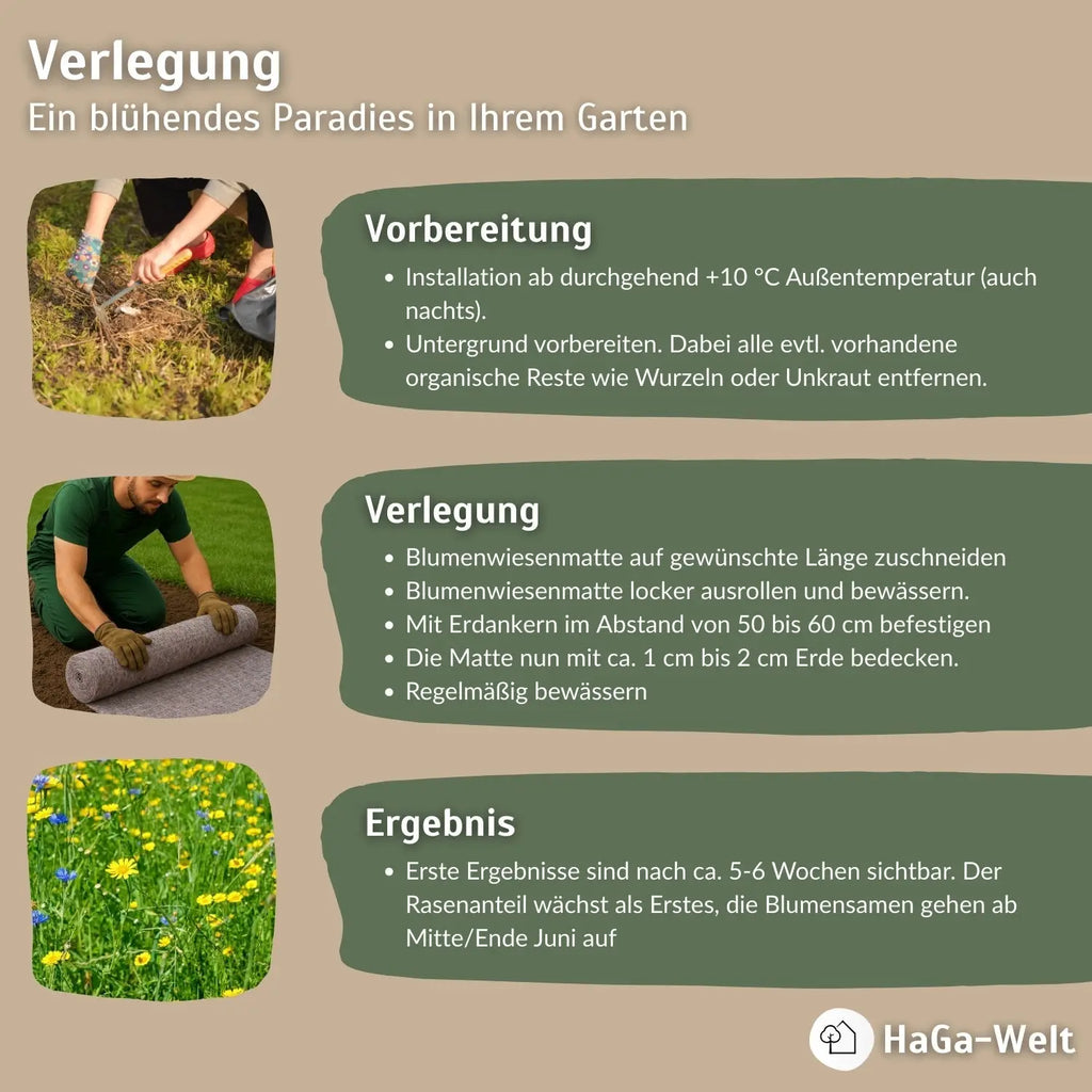 Blumenwiesenmatte – eine Wildblumenwiese für Ihren Garten