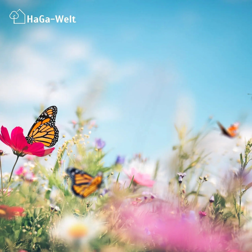 Blumenwiesenmatte – eine Wildblumenwiese für Ihren Garten