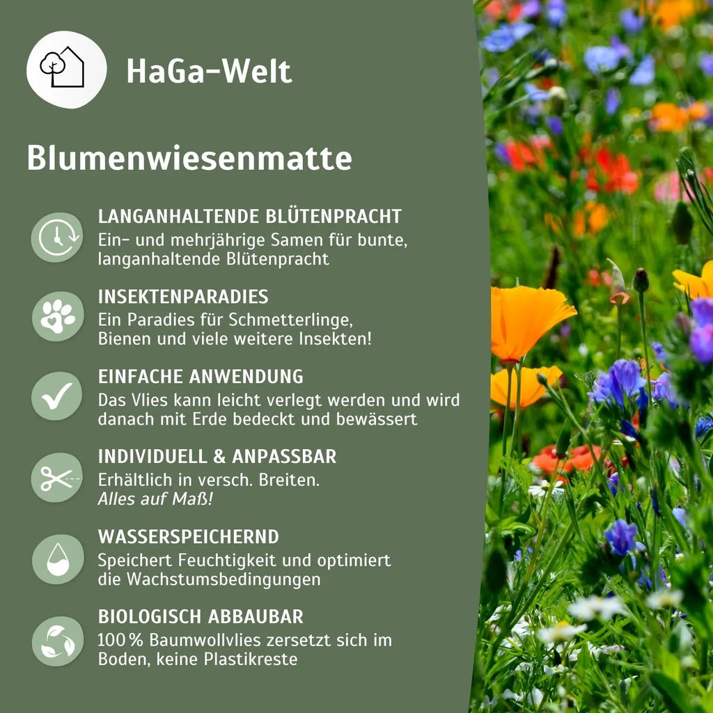Blumenwiesenmatte – eine Wildblumenwiese für Ihren Garten