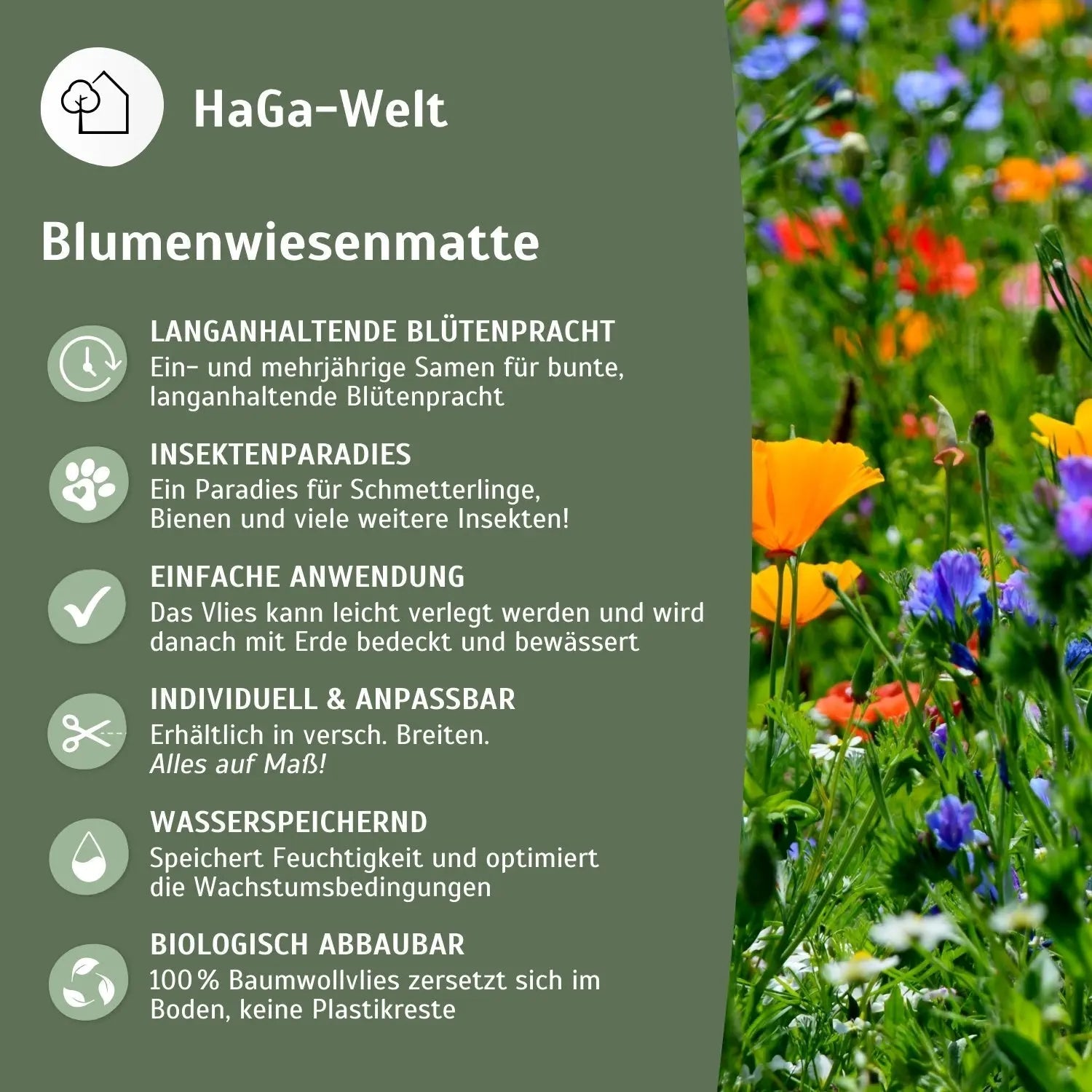 Blumenwiesenmatte – eine Wildblumenwiese für Ihren Garten
