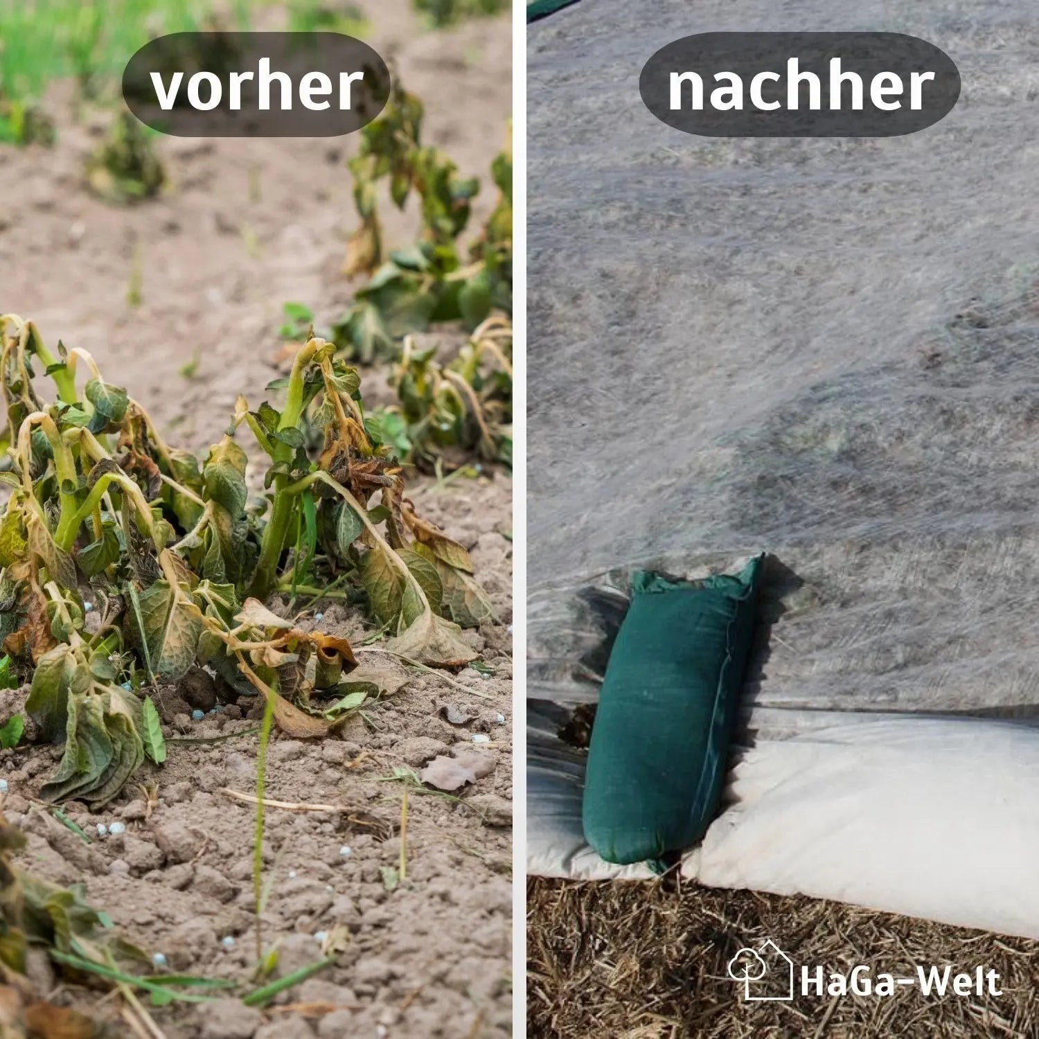 Erntevlies 30 g/m² – effektiver Frostschutz und Wachstumshelfer