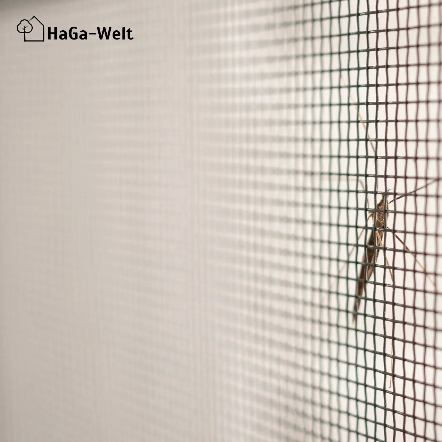 Fliegengitter Meterware – perfekter Insektenschutz für Ihr Zuhause