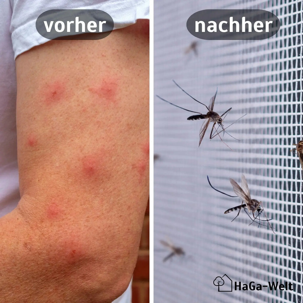 Fliegengitter Meterware – perfekter Insektenschutz für Ihr Zuhause