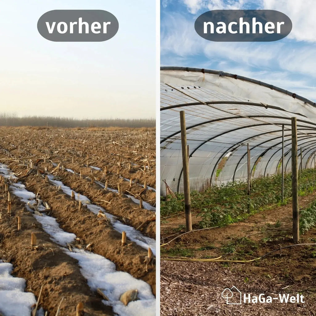 Gitterfolie – verstärkte Folie für Gewächshausbau