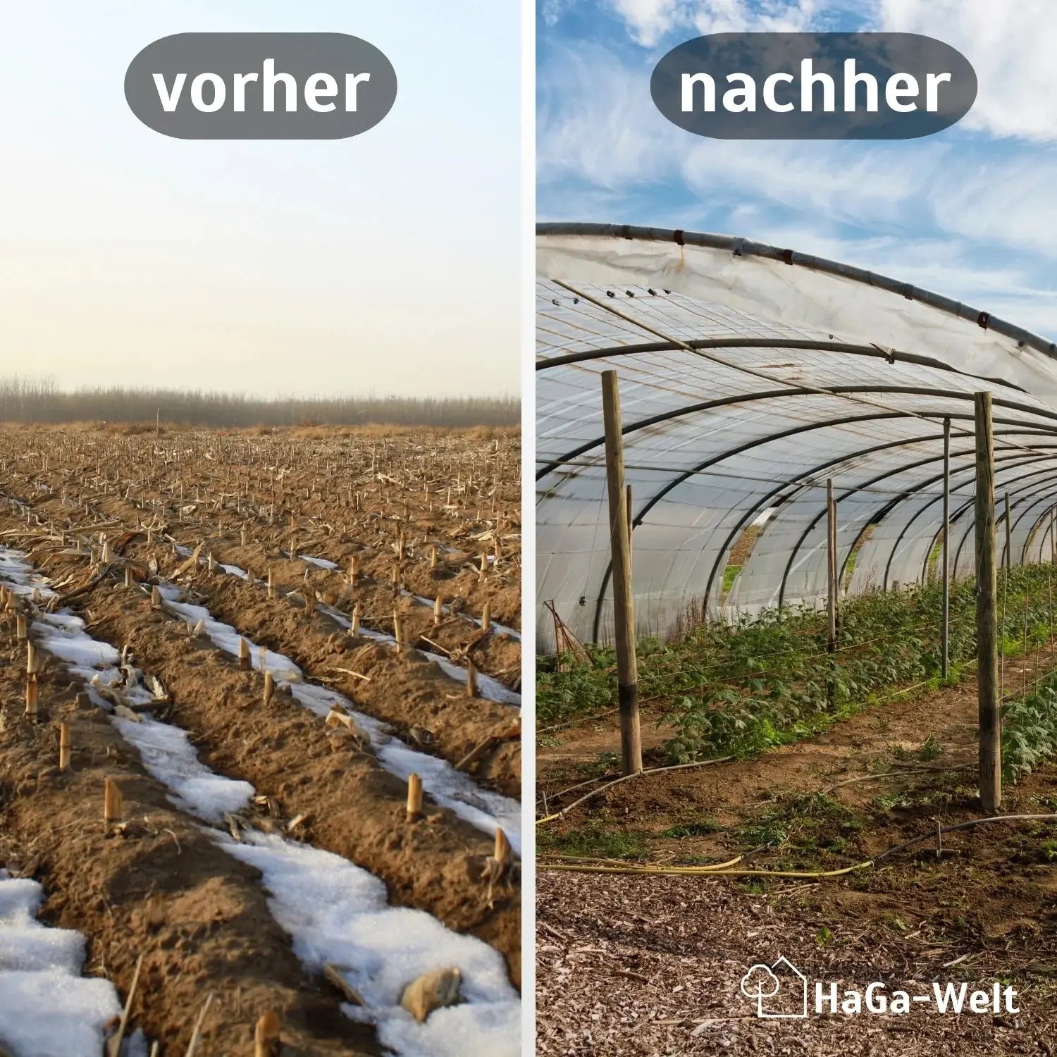 Gitterfolie – verstärkte Folie für Gewächshausbau