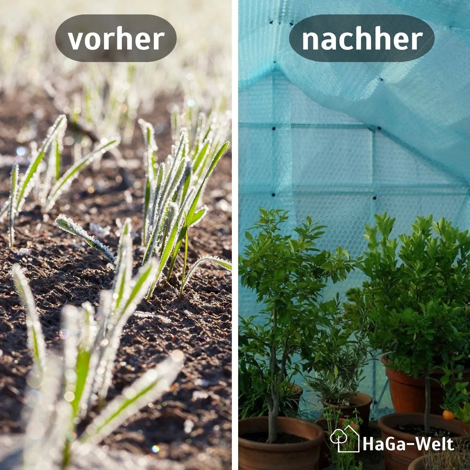 Isolierfolie, 1,5m Breite 3-lagig (Meterware) – effektiver Frostschutz für Gewächshäuser