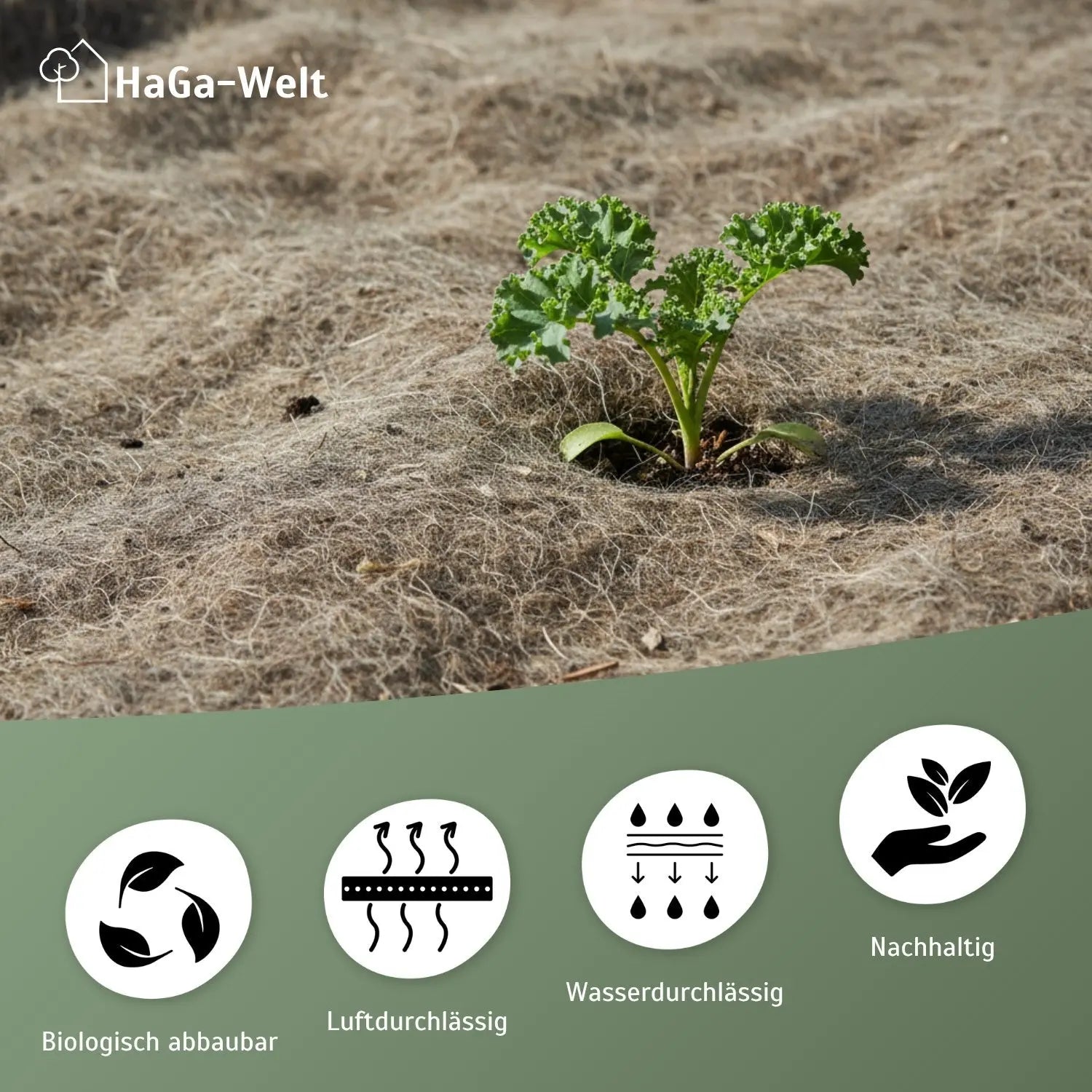 Mulchvlies aus Schafwolle – aus 100 % Schafwolle, biologisch abbaubar