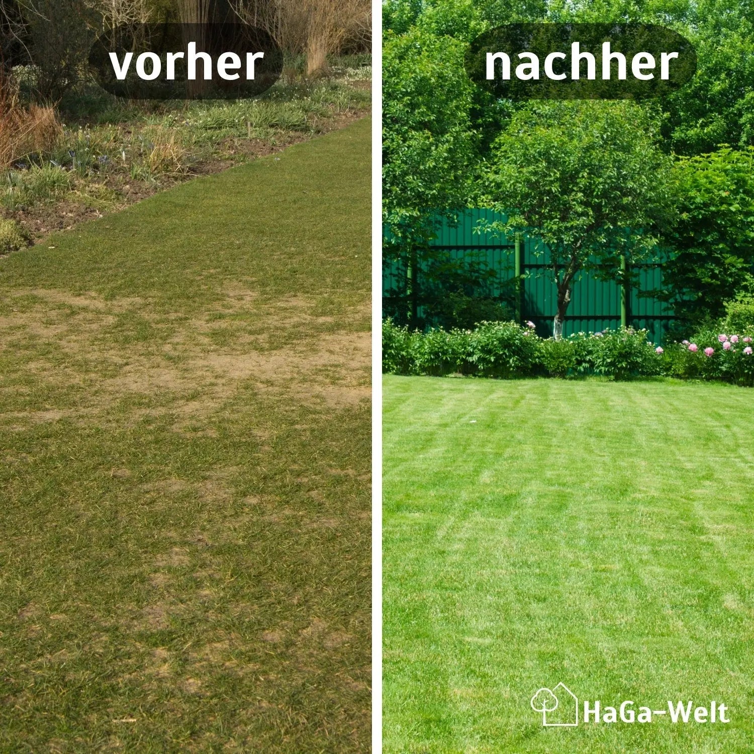 Rasenmatte – schneller Weg zu schönem Rasen