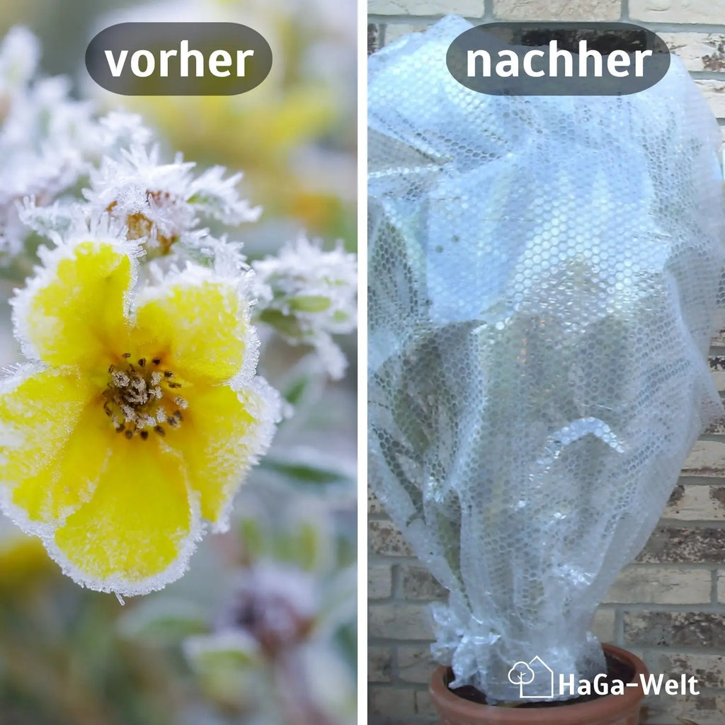 Thermofolie, mit Luftpolster – isolierender Pflanzenschutz