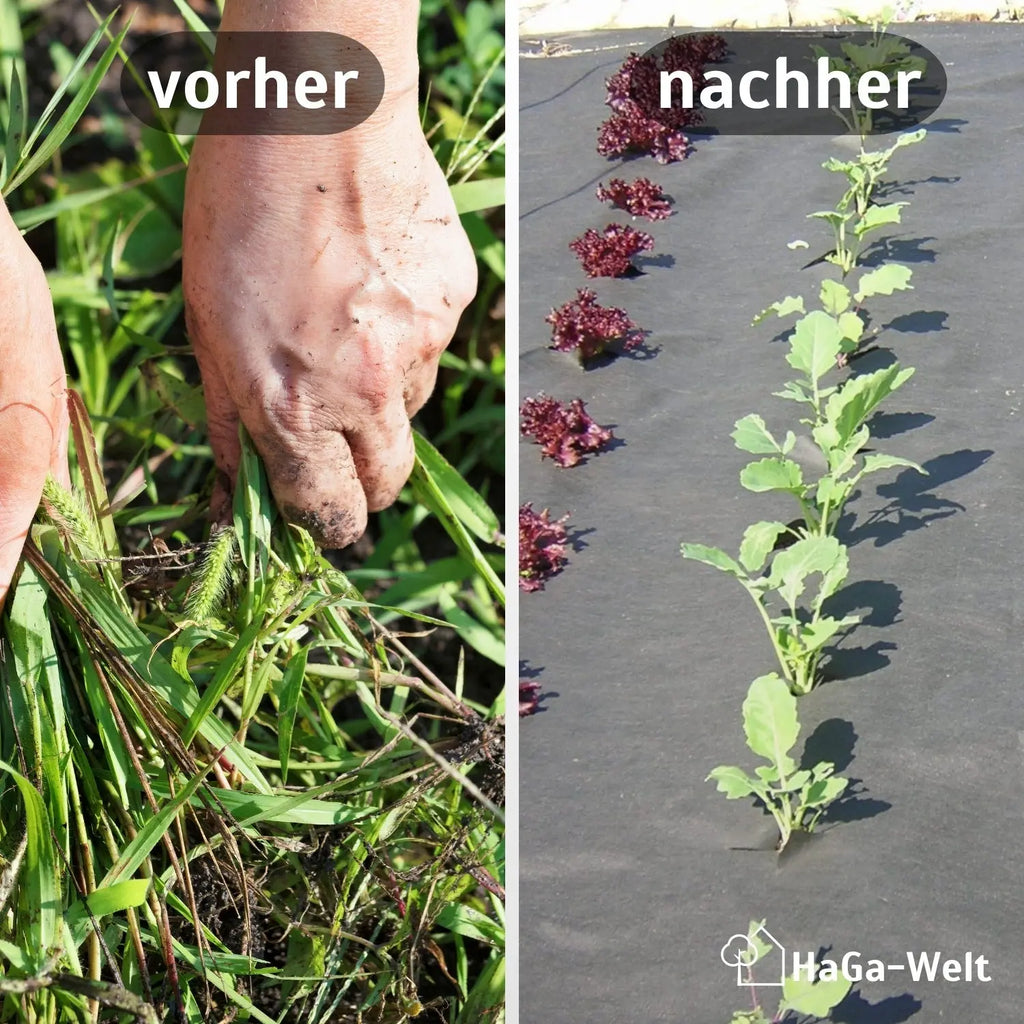 Gartenvlies 50 g/m² – Unkrautschutz für Ihr Gemüsebeet