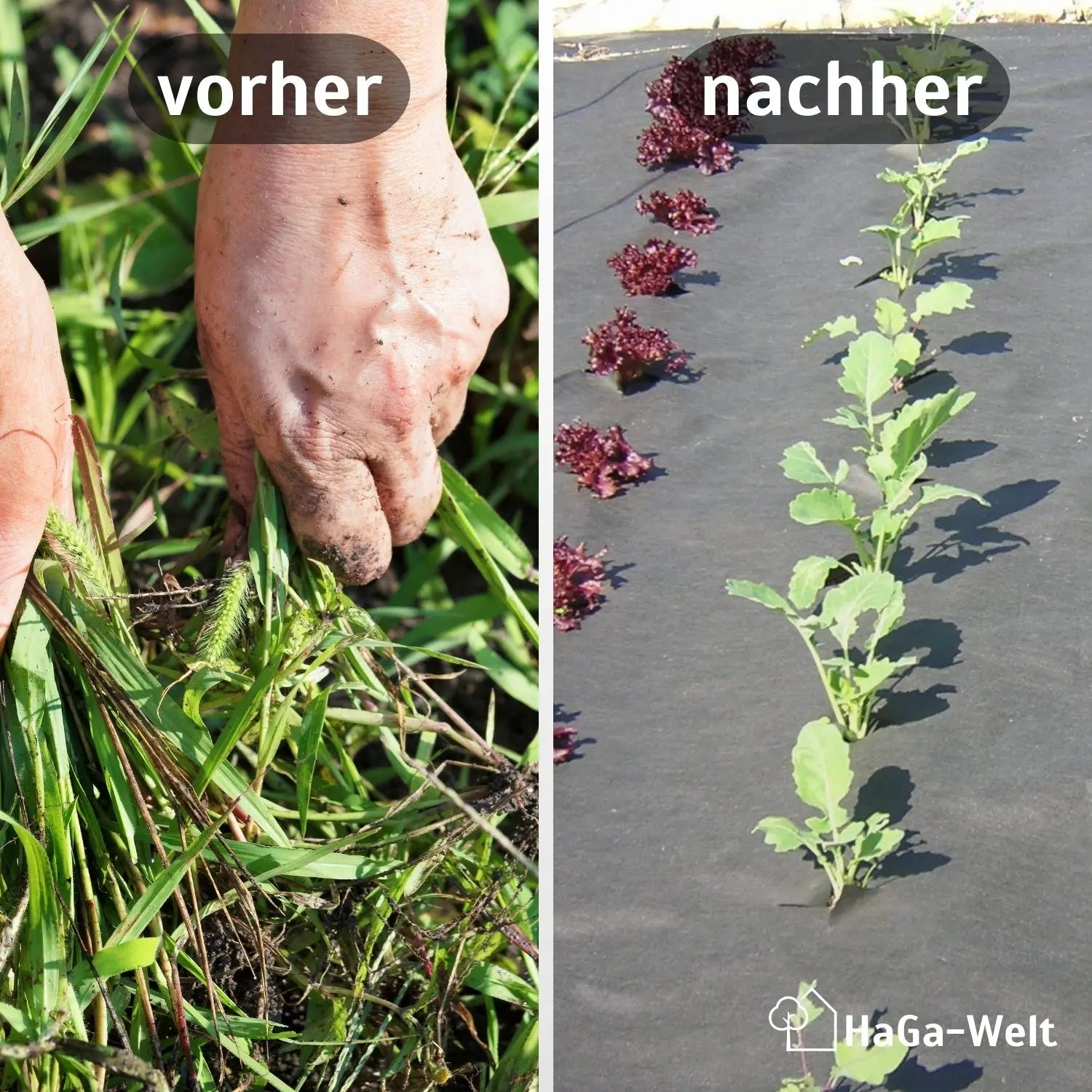 Gartenvlies 50 g/m² – Unkrautschutz für Ihr Gemüsebeet