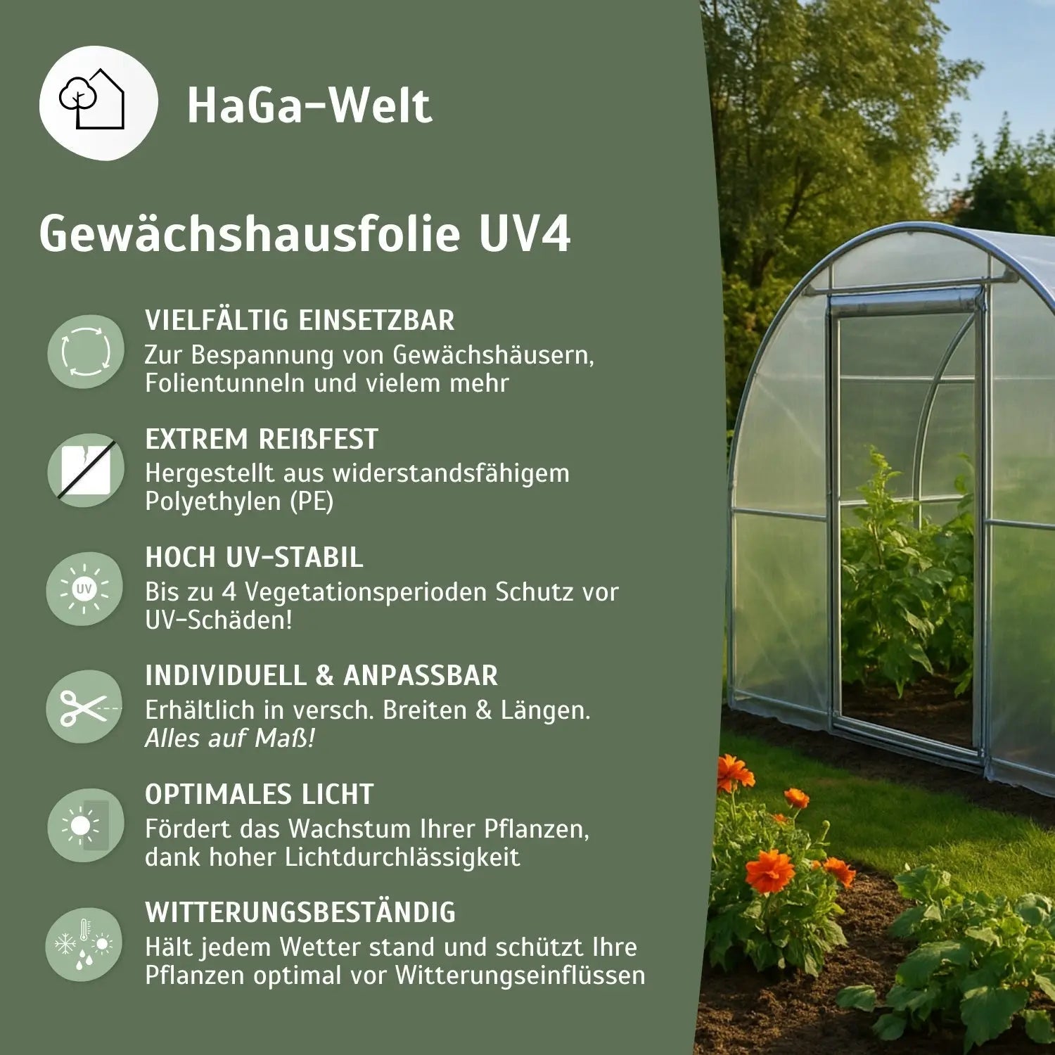 UV4 Gewächshausfolie – perfekt für Ihren Folientunnel