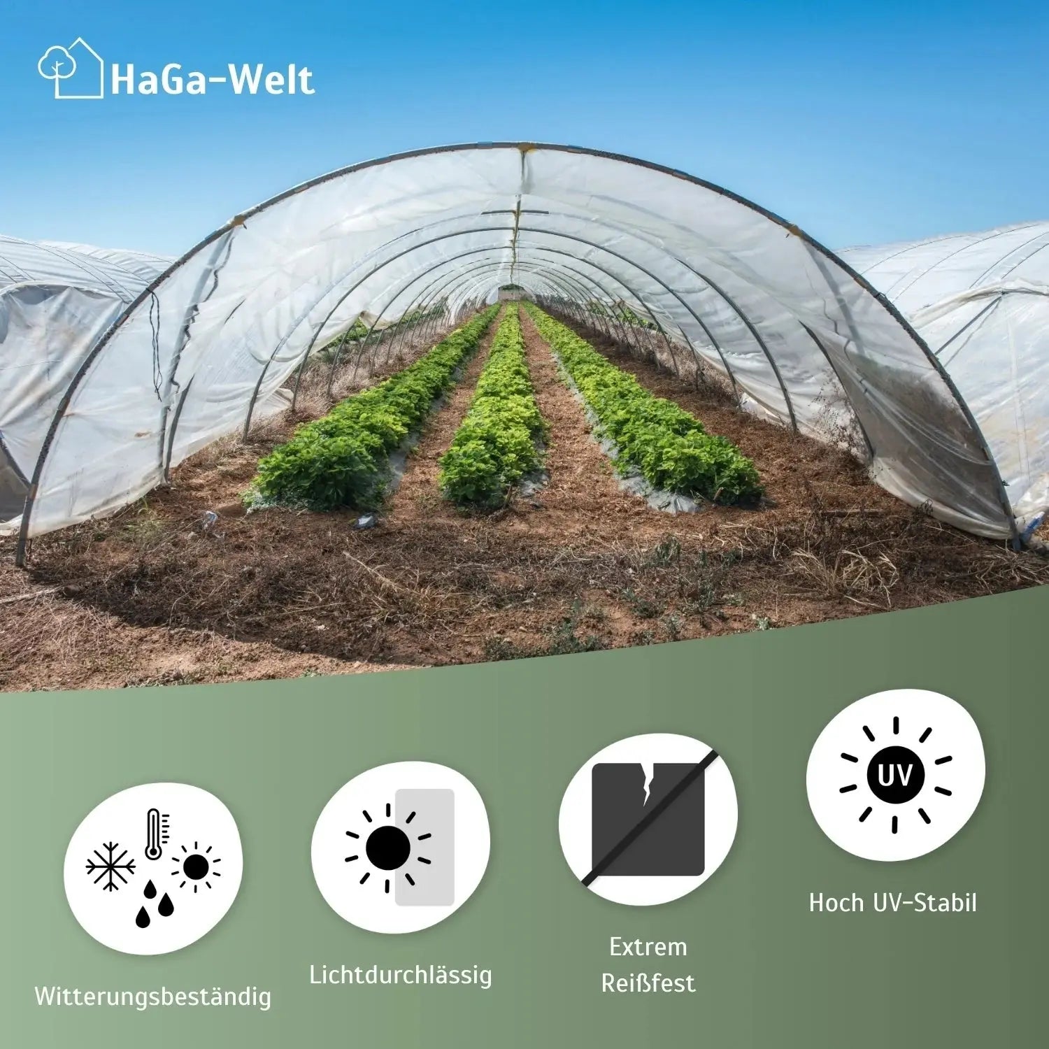 UV4 Gewächshausfolie – perfekt für Ihren Folientunnel