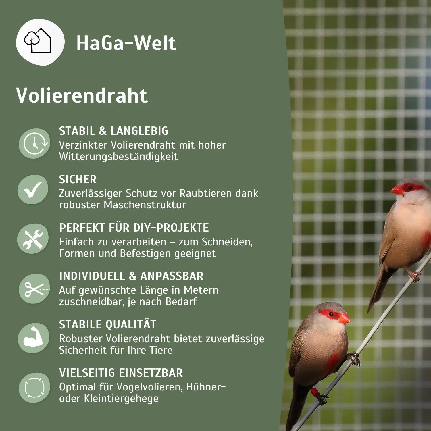 Volierendraht – Stabiler Draht für Ihre Voliere