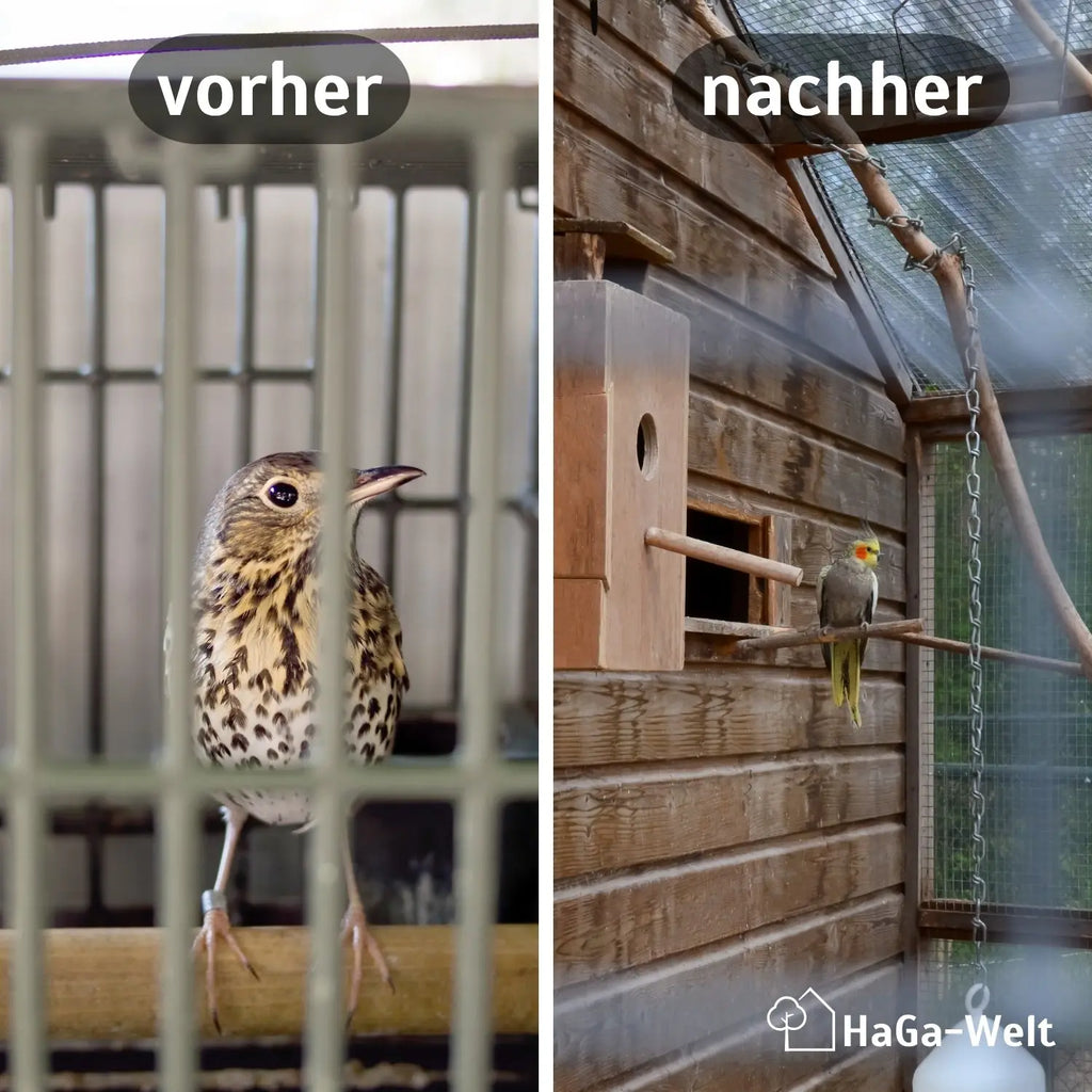 Volierendraht – Stabiler Draht für Ihre Voliere