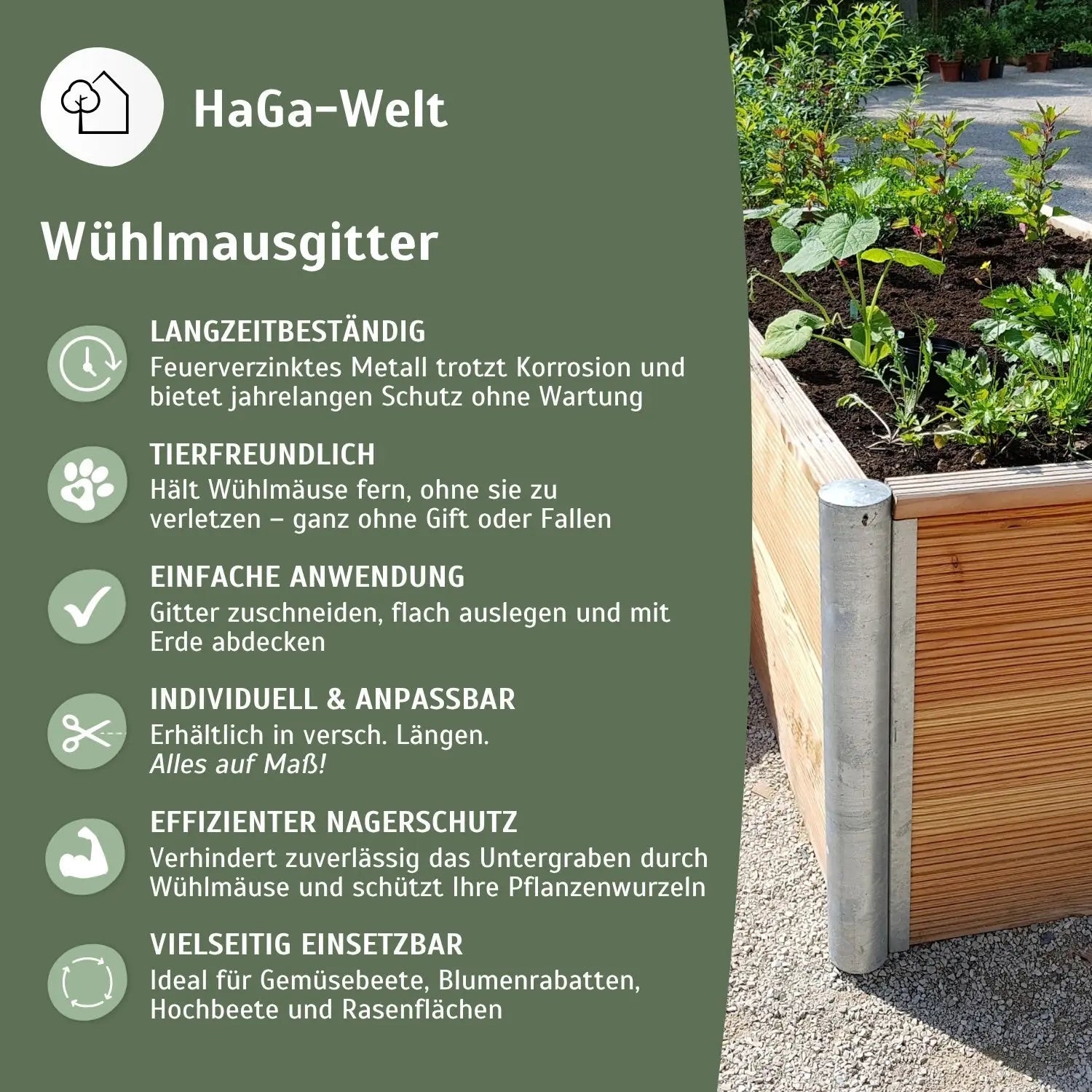Wühlmausgitter