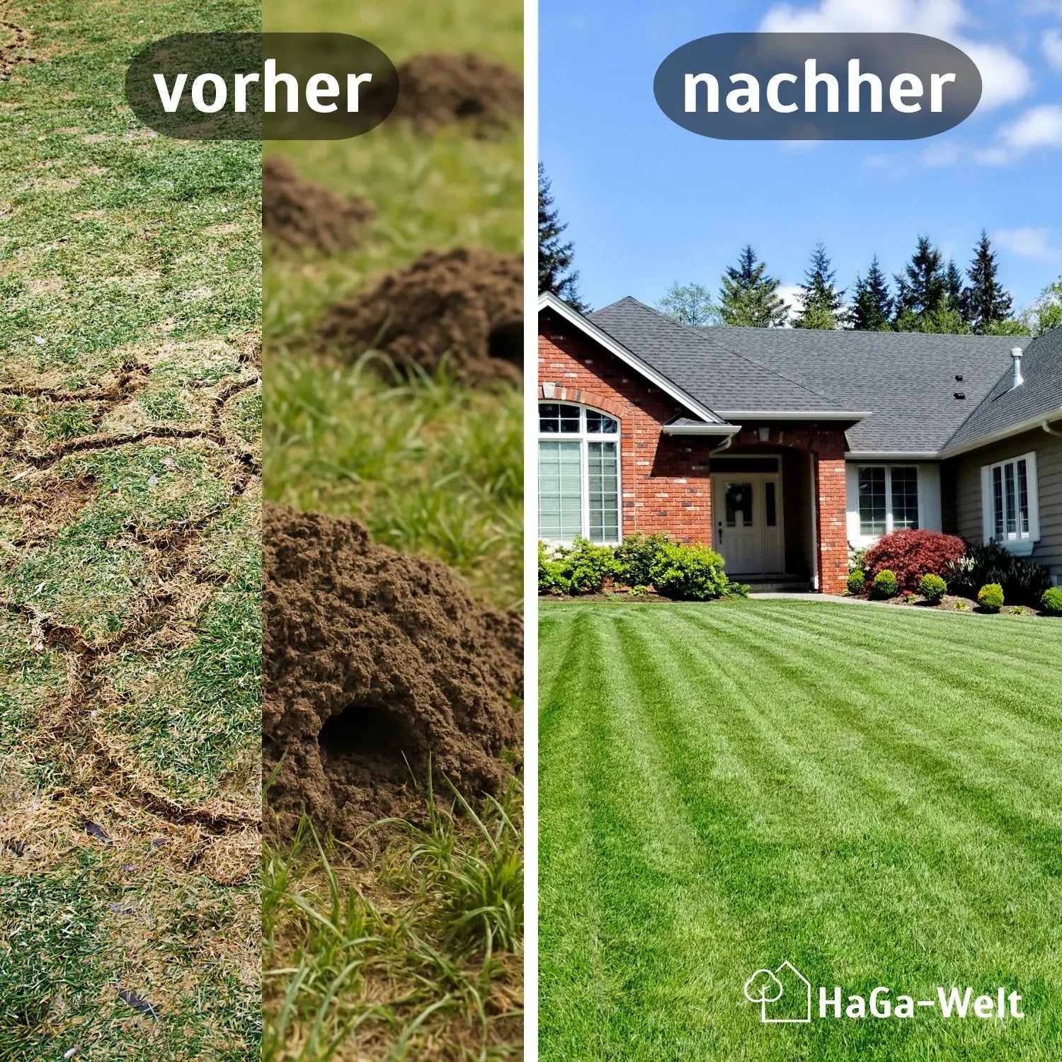 Wühlmausgitter