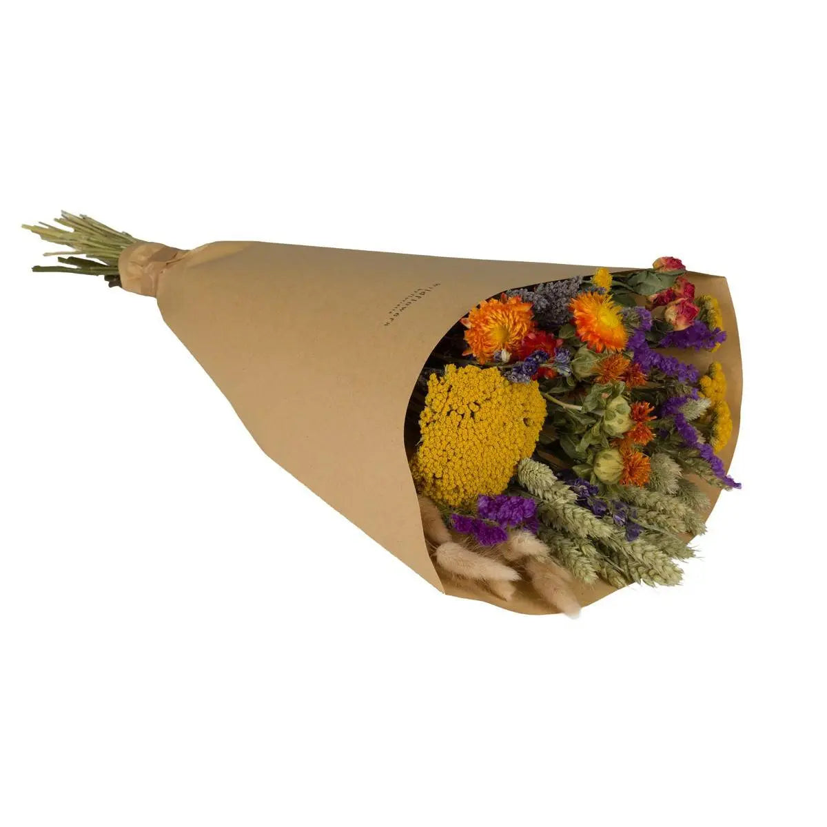 trockenblumen-feldbouquet-orange-60cm-freigestellt-weisser-hintergrund