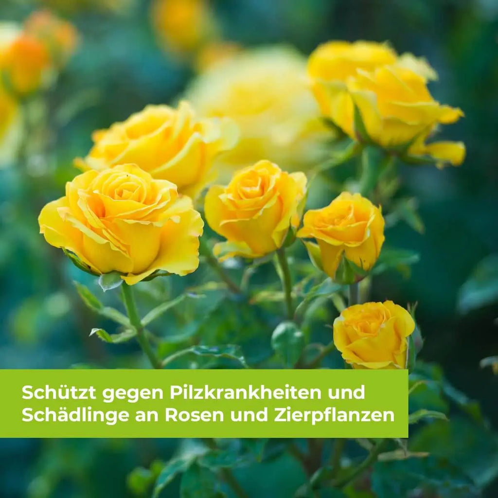 Protect Garden Rosen Kombi-Set Rundumschutz für Rosen und Zierpflanzen 130 ml